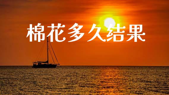 棉花多久结果_https://m.kuaijiepai.net_债券投资_第1张
