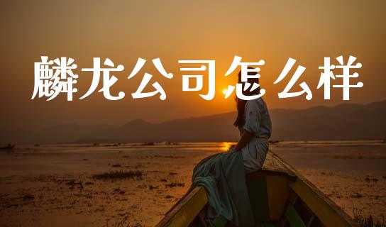 麟龙公司怎么样_https://m.kuaijiepai.net_货币基金_第1张