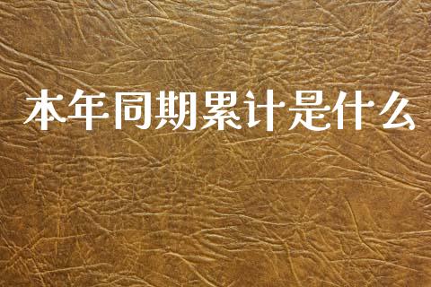 本年同期累计是什么_https://m.kuaijiepai.net_资产证券化_第1张