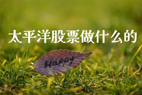 太平洋股票做什么的_https://m.kuaijiepai.net_资产证券化_第1张