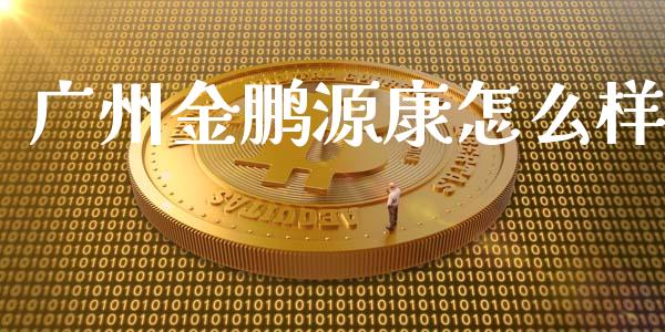 广州金鹏源康怎么样_https://m.kuaijiepai.net_货币基金_第1张