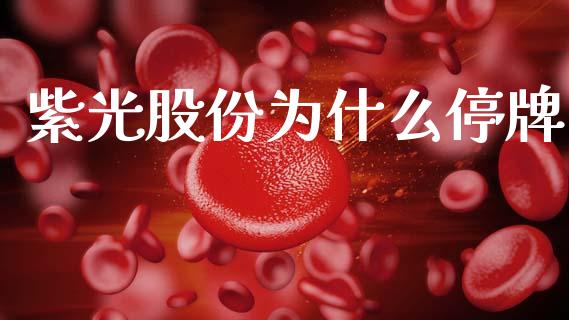 紫光股份为什么停牌_https://m.kuaijiepai.net_债券投资_第1张