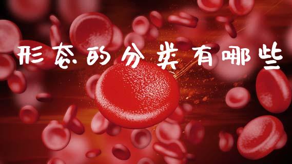 形态的分类有哪些_https://m.kuaijiepai.net_股票交易_第1张