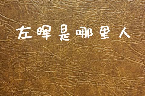 左晖是哪里人_https://m.kuaijiepai.net_股票交易_第1张
