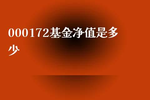 000172基金净值是多少_https://m.kuaijiepai.net_资产证券化_第1张