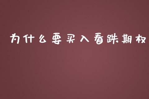 为什么要买入看跌期权_https://m.kuaijiepai.net_资产证券化_第1张