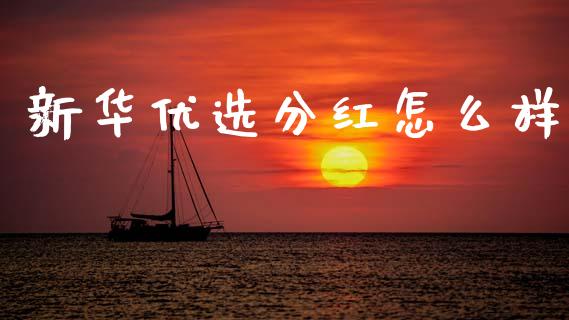 新华优选分红怎么样_https://m.kuaijiepai.net_货币基金_第1张