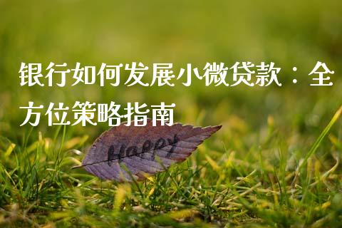 银行如何发展小微贷款：全方位策略指南_https://m.kuaijiepai.net_股票交易_第1张