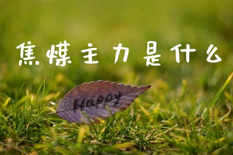 焦煤主力是什么_https://m.kuaijiepai.net_债券投资_第1张