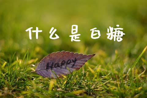 什么是白糖_资产证券化_第1张_货币基金_债券投资_股票交易_资产证券化 什么是白糖_https://m.kuaijiepai.net_资产证券化_第1张