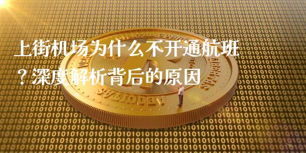 上街机场为什么不开通航班？深度解析背后的原因_https://m.kuaijiepai.net_资产证券化_第1张