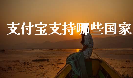 支付宝支持哪些国家_https://m.kuaijiepai.net_债券投资_第1张