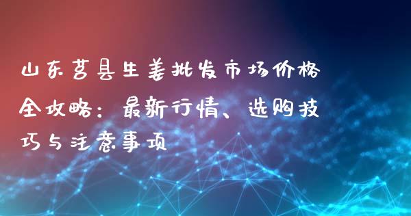 山东莒县生姜批发市场价格全攻略：最新行情、选购技巧与注意事项_https://m.kuaijiepai.net_资产证券化_第1张