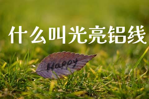 什么叫光亮铝线_https://m.kuaijiepai.net_资产证券化_第1张