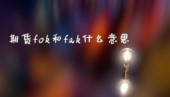期货fok和fak什么意思_https://m.kuaijiepai.net_资产证券化_第1张