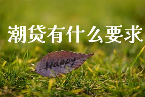 潮贷有什么要求_https://m.kuaijiepai.net_货币基金_第1张