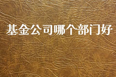 基金公司哪个部门好_https://m.kuaijiepai.net_资产证券化_第1张