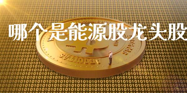 哪个是能源股龙头股_https://m.kuaijiepai.net_资产证券化_第1张