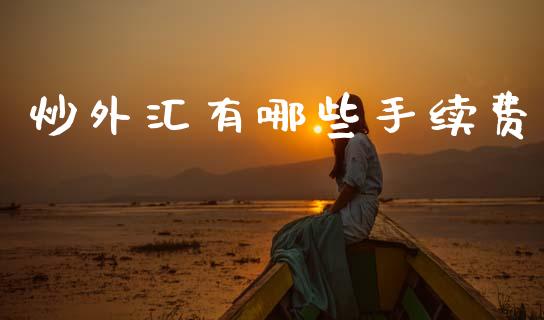 炒外汇有哪些手续费_https://m.kuaijiepai.net_股票交易_第1张