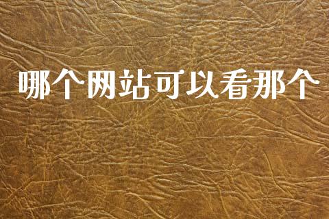 哪个网站可以看那个_https://m.kuaijiepai.net_资产证券化_第1张
