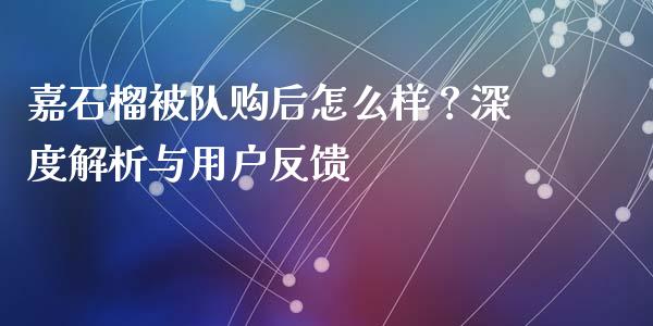 嘉石榴被队购后怎么样？深度解析与用户反馈_https://m.kuaijiepai.net_资产证券化_第1张
