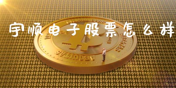 宇顺电子股票怎么样_https://m.kuaijiepai.net_货币基金_第1张