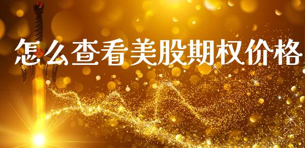 怎么查看美股期权价格_https://m.kuaijiepai.net_资产证券化_第1张