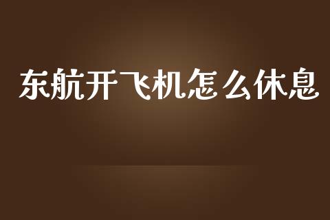 东航开飞机怎么休息_https://m.kuaijiepai.net_资产证券化_第1张