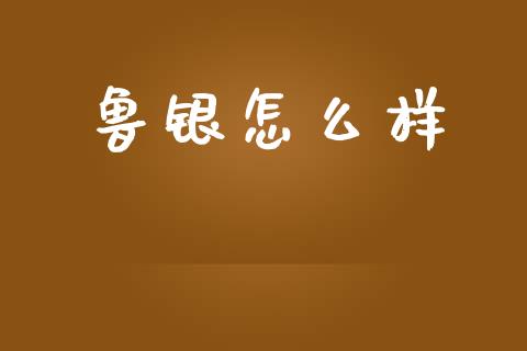鲁银怎么样_https://m.kuaijiepai.net_资产证券化_第1张
