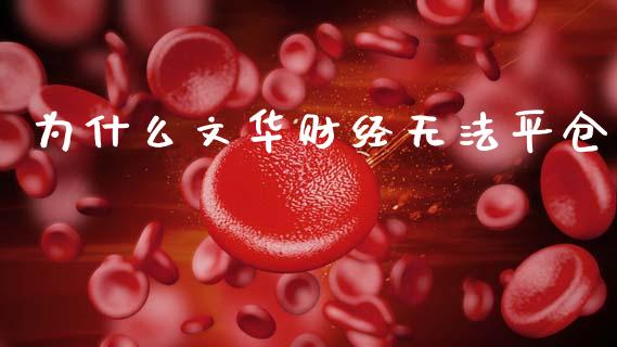 为什么文华财经无法平仓_https://m.kuaijiepai.net_资产证券化_第1张