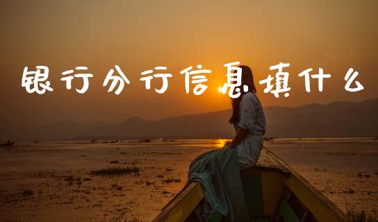 银行分行信息填什么_https://m.kuaijiepai.net_货币基金_第1张