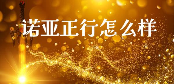 诺亚正行怎么样_https://m.kuaijiepai.net_债券投资_第1张