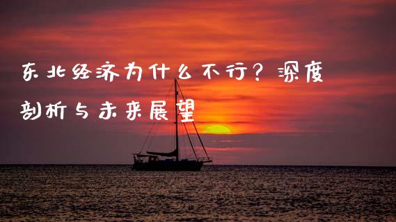 东北经济为什么不行？深度剖析与未来展望_https://m.kuaijiepai.net_债券投资_第1张