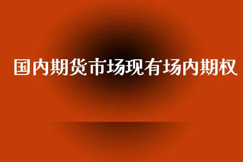 国内期货市场现有场内期权_https://m.kuaijiepai.net_资产证券化_第1张