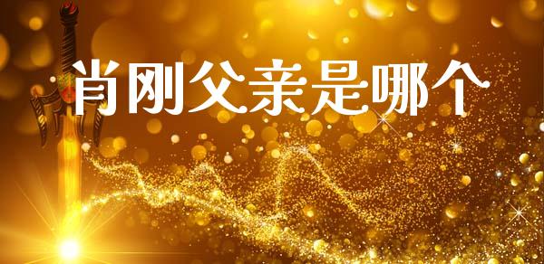 肖刚父亲是哪个_https://m.kuaijiepai.net_货币基金_第1张