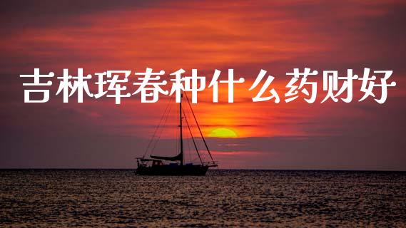 吉林珲春种什么药财好_https://m.kuaijiepai.net_资产证券化_第1张