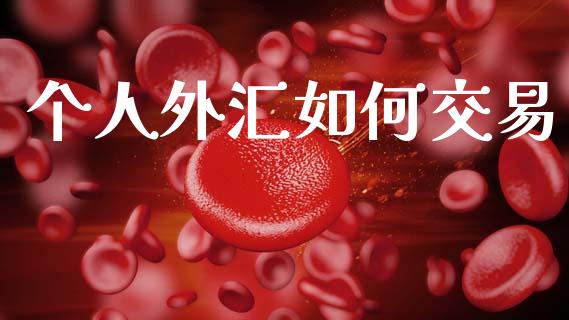 个人外汇如何交易_https://m.kuaijiepai.net_债券投资_第1张