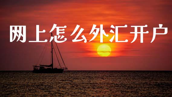 网上怎么外汇开户_https://m.kuaijiepai.net_债券投资_第1张