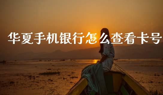 华夏手机银行怎么查看卡号_https://m.kuaijiepai.net_货币基金_第1张