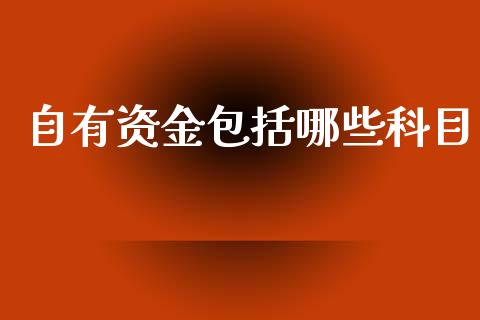 自有资金包括哪些科目_https://m.kuaijiepai.net_债券投资_第1张