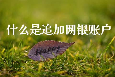 什么是追加网银账户_https://m.kuaijiepai.net_股票交易_第1张