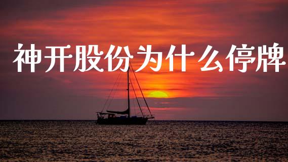 神开股份为什么停牌_https://m.kuaijiepai.net_债券投资_第1张