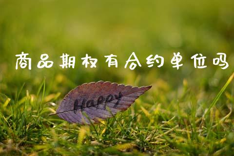 商品期权有合约单位吗_https://m.kuaijiepai.net_股票交易_第1张