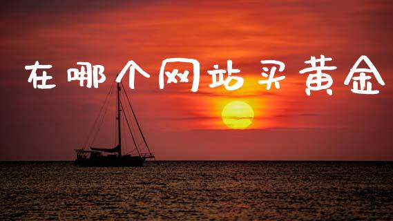 在哪个网站买黄金_https://m.kuaijiepai.net_货币基金_第1张