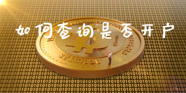 如何查询是否开户_https://m.kuaijiepai.net_债券投资_第1张