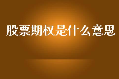 股票期权是什么意思_https://m.kuaijiepai.net_货币基金_第1张