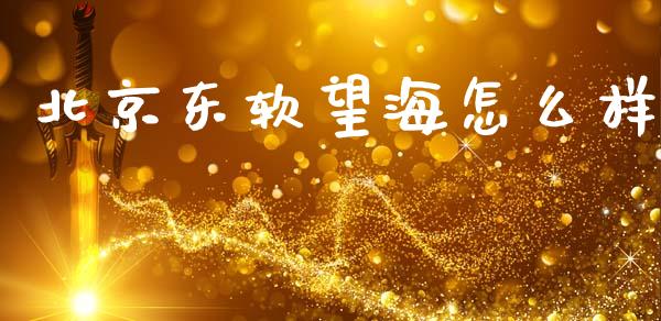 北京东软望海怎么样_https://m.kuaijiepai.net_资产证券化_第1张