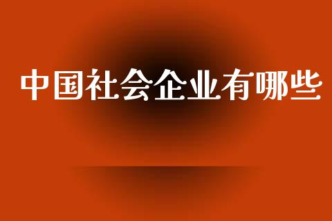中国社会企业有哪些_https://m.kuaijiepai.net_债券投资_第1张