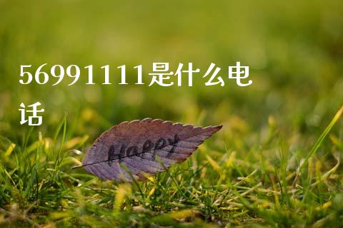 56991111是什么电话_https://m.kuaijiepai.net_债券投资_第1张