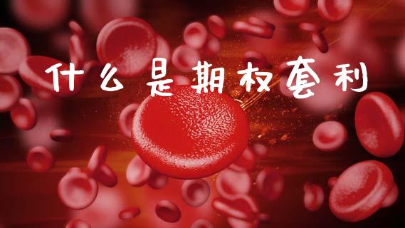 什么是期权套利_https://m.kuaijiepai.net_资产证券化_第1张